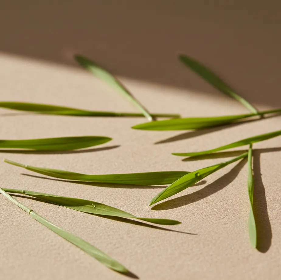 [WHEATGRASS250] Wheatgrass Powder – 250 g